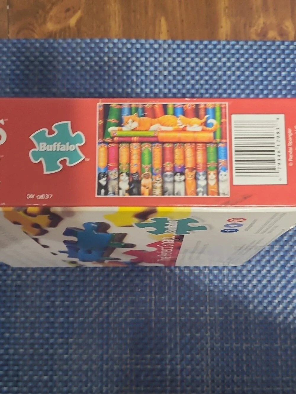 Buffalo David Bitton Multicolor & Orange Cats Book Spine Puzzle